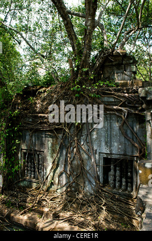 Des racines géantes enveloppent des ruines non excavées à Beng Mealea, province de Siem Reap, Cambodge. © Kraig Lieb Banque D'Images