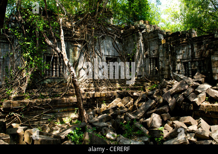 Des racines géantes enveloppent des ruines non excavées à Beng Mealea, province de Siem Reap, Cambodge. © Kraig Lieb Banque D'Images