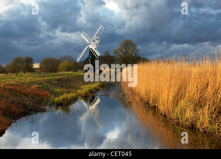 Boardmans moulin de drainage sur les Norfolk Broads. Banque D'Images