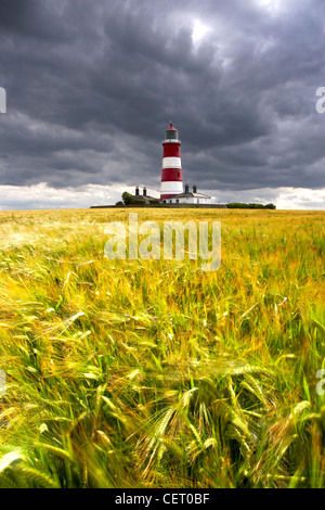 Happisburgh Phare et champ d'orge à l'été. Banque D'Images