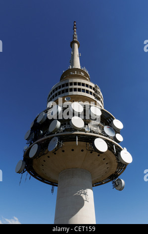 Black Mountain Tower (aka la Tour Telstra) à Canberra, Australie Banque D'Images