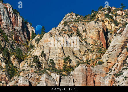 Une presque pleine lune en ordre décroissant entre deux pics de montagne à Zion National Park, Utah, USA.z Banque D'Images