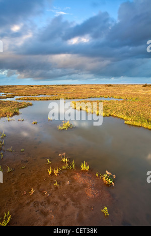 Les marais salés de Stiffkey sur la côte nord du comté de Norfolk. Banque D'Images