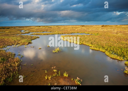 Les marais salés de Stiffkey sur la côte nord du comté de Norfolk. Banque D'Images