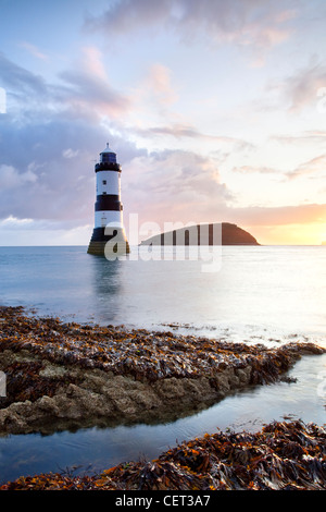 Une vue sur le phare et l'Île Penmon macareux à l'aube sur la côte d'Anglesey en Galles du Nord. Banque D'Images