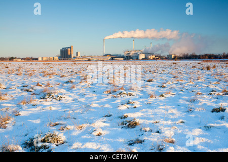 L'usine de sucre de Cantley au premier jour, à la suite de chutes de neige dans le Norfolk. Banque D'Images