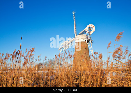 Le moulin de Drainage Hardley nouvellement restauré, construit en 1874, sur les Norfolk Broads. Banque D'Images