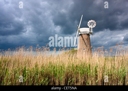 Menaces sur l'usine de Drainage Hardley nouvellement restauré sur les Norfolk Broads. Banque D'Images