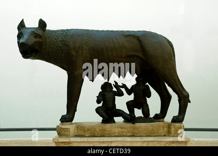Statue de loup du Capitole, les musées du Capitole, Rome, Latium, Italie Banque D'Images