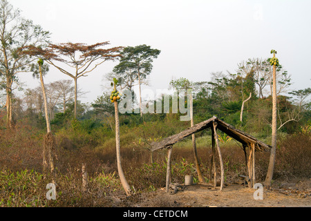 Duekoué République de Côte d'Ivoire Côte d'Ivoire Banque D'Images