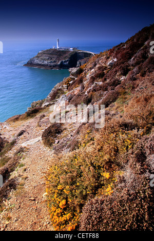 Une vue de la falaise à SouthStack Phare à Holyhead. Banque D'Images