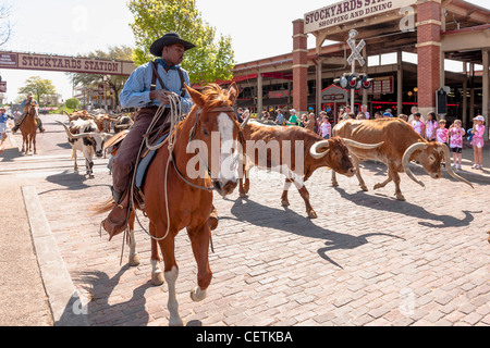 La station de bestiaux de bétail, Fort Worth Banque D'Images