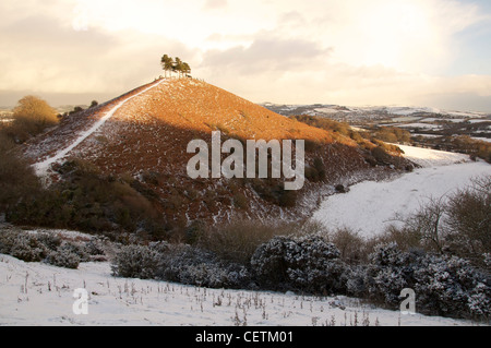 Colmer's Hill en hiver : cette modeste mais distinctive Hill est devenu un établissement emblématique de la région de West Bridport Dorset. Angleterre, Royaume-Uni. Banque D'Images