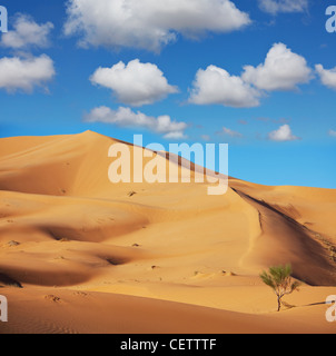 Désert de sable dans Erg-Chigaga,Maroc Banque D'Images