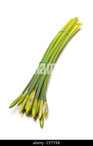 Bouquet de jonquilles bouquet ou isolé sur un fond blanc studio. Banque D'Images