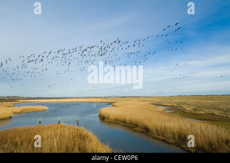 Farlington Marshes Hampshire UK Banque D'Images