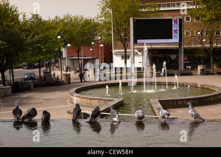 Royaume-uni, Pays de Galles, Swansea, Place du Château, pigeons echelle dans l'eau de fontaine cascade Banque D'Images