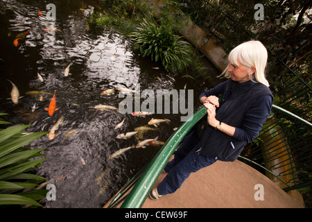 Royaume-uni, Pays de Galles, Swansea, Plantasia piscine jardin tropical, visiteur à la recherche de carpes koï Banque D'Images