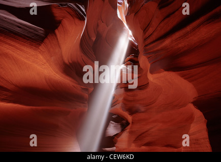 Des arbres le soleil qui rayonne dans le canyon Antelope Slot Canyon, Arizona, USA Banque D'Images