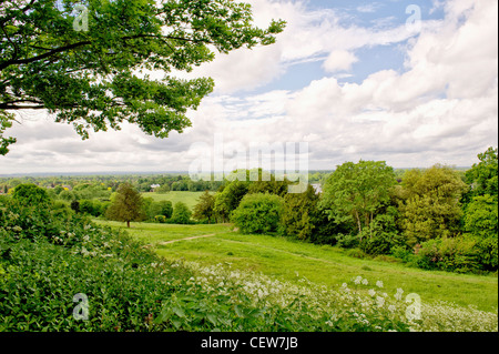 Vue de Richmond Hill ; Blick vom Richmond Hill, Londres Banque D'Images