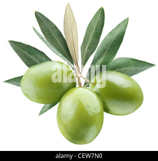 Olives avec des feuilles sur un fond blanc. Banque D'Images