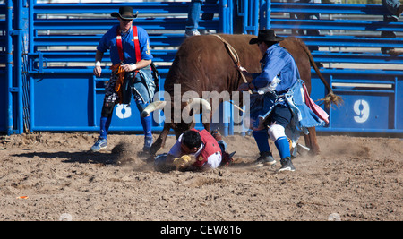 Vend, Arizona - Le bull riding la concurrence dans la division des maîtres (âge 40 +) de la nation Tohono O'odham tous Indian Rodeo. Banque D'Images