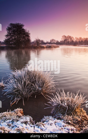 Un cygne glisse par sur un hiver glacial l'aube sur la Tamise à Lechlade, Gloucestershire, England, UK Banque D'Images