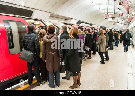 Les banlieusards essayant d'administration Central Line surpeuplés London Underground transport au cours de l'heure de pointe du matin, UK Banque D'Images
