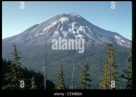 Mont St. Helens le 17 mai 1980, un jour avant l'éruption dévastatrice. La vue est de Johnston's Ridge, à 10 kilomètres au nord-ouest du volcan. Banque D'Images