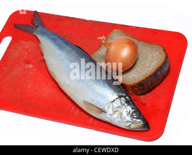 Le hareng salé sur fond blanc Banque D'Images