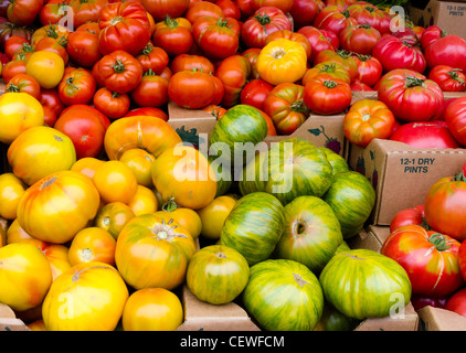 Heirloom tomatoes fraîchement récoltées sur l'affichage du marché agricole Banque D'Images