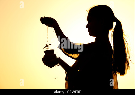 Indian girl aspersion de l'eau sur un semis de plantes dans un pot en argile. Silhouette. L'Inde Banque D'Images