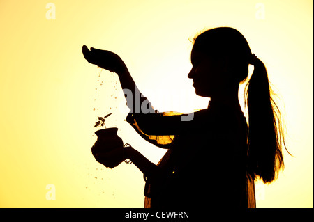 Indian girl aspersion de l'eau sur un semis de plantes dans un pot en argile. Silhouette. L'Inde Banque D'Images