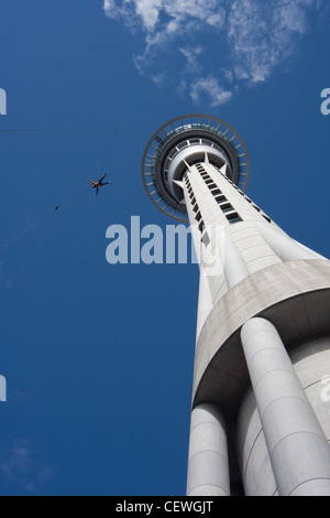 Tourné à partir de la base de la Sky Tower, Auckland, Nouvelle-Zélande. Banque D'Images