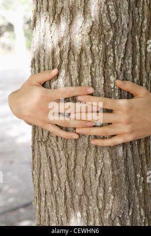 Mains hugging tree trunk, cropped Banque D'Images
