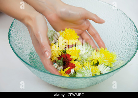 Dans les mains de trempage femme bol d'eau et de fleurs, cropped Banque D'Images