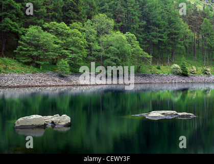 Arbres se reflétant dans vert Garreg ddu réservoir dans la vallée de l'Elan. Banque D'Images