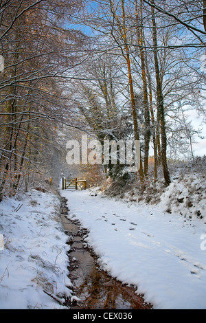 Empreintes sur un chemin couvert de neige par un ruisseau, menant à une porte dans la forêt royale de Dean. Banque D'Images