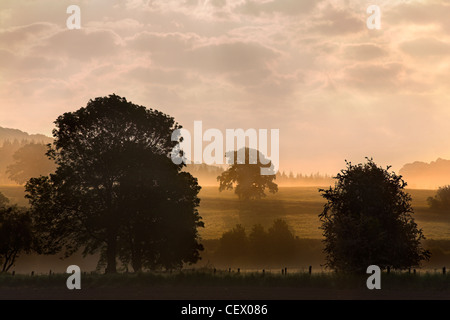 Brume sur les champs à Bigswier sur le Gloucestershire, Monmouthshire frontière. Banque D'Images