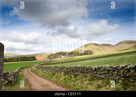 Une seule voie menant à l'établissement The Queensberry Estate dans le cœur de la belle campagne Nithsdale. Banque D'Images