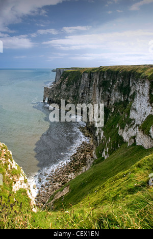 Vue de falaises de Bempton sur la côte nord-est de l'Angleterre. Banque D'Images