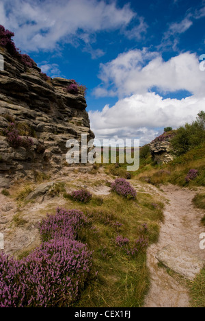 Les Bridestones à Dalby Forest dans le parc national des North York Moors. Banque D'Images