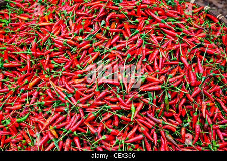 Bol de chili peppers au Cambodge Banque D'Images