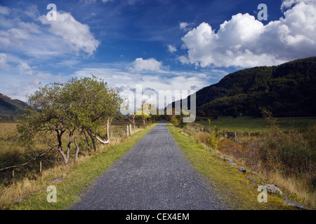 La Mawddach Trail est un sentier entre Dolgellau Barmouth et qui suit le tracé d'une ancienne ligne de chemin de fer à côté de l'Mawdda Banque D'Images