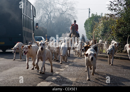 Foxhounds suivie par le maître de foxhounds à cheval dans le village de Brinkworth. Banque D'Images