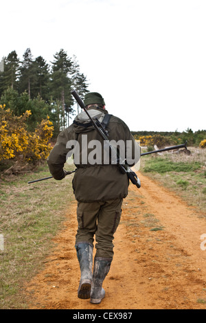 L'homme la chasse au chevreuil avec des fusils dans la forêt de Thetford, UK Banque D'Images