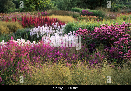 Pensthorpe Jardin Millenium, Norfolk, Monarda, Astilbe, Prairie, plantation de graminées, Piet Oudolf Phlox, designer célèbre England UK Banque D'Images