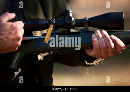 Man loading rifle, Deer Hunter, la forêt de Thetford, UK Banque D'Images