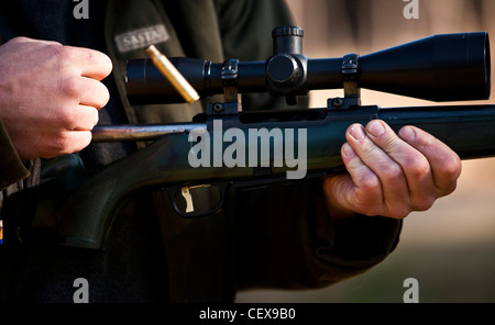 Man loading rifle, Deer Hunter, la forêt de Thetford, UK Banque D'Images