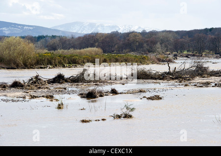 Rivière Spey en crue et inondation à Garmouth, l'Ecosse en avril 2010 en raison de la fonte des neiges. Neige sur Ben Rinnes en arrière-plan. Banque D'Images